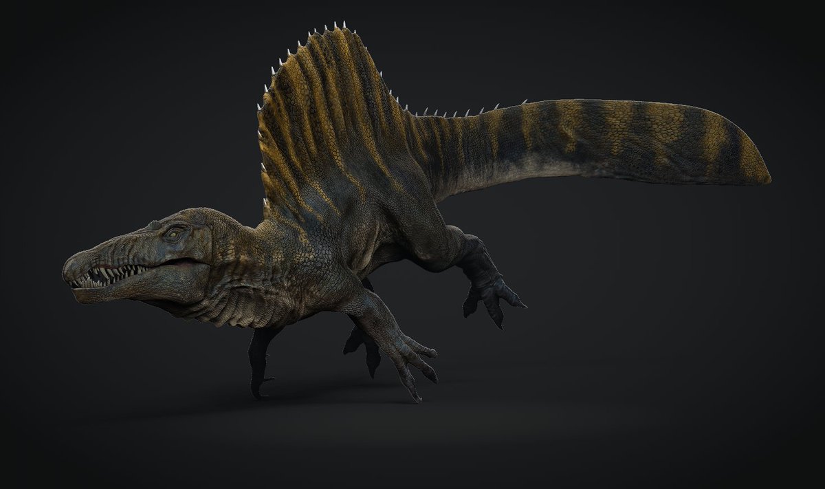 Spinosaurus      

#JurassicWorldRebirth #Spinosaurus #zbrush