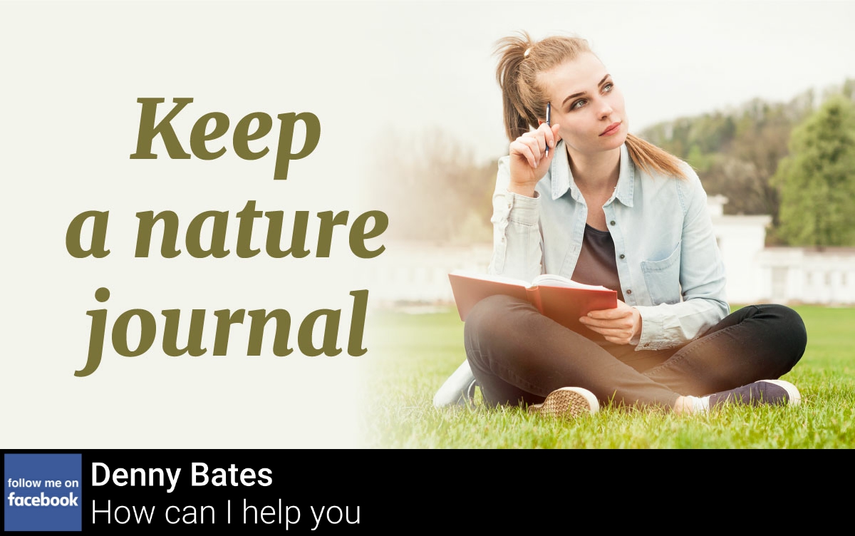dennybates's tweet photo. Try keeping a nature journal to better connect with the world around you. https://t.co/LQIcIkDh74
