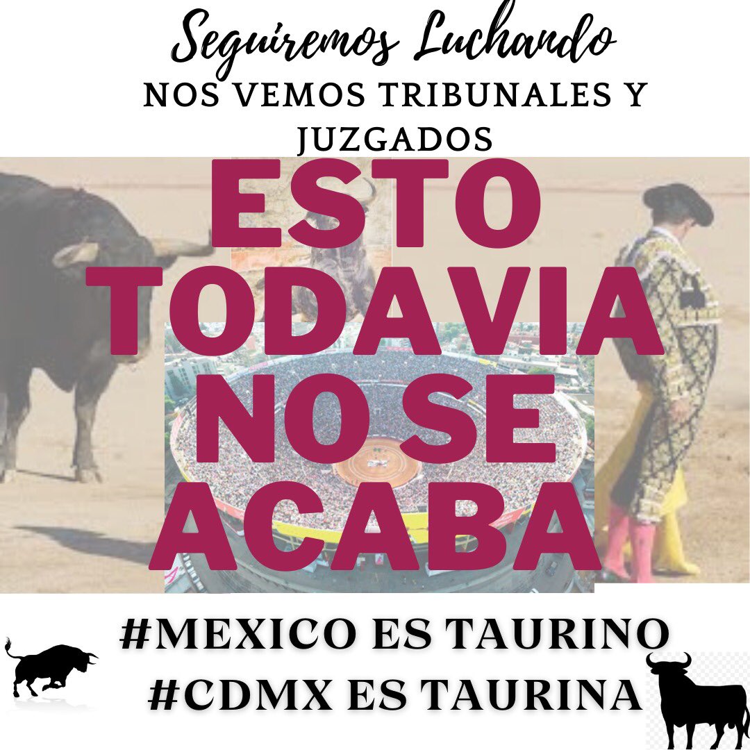 Seguiremos en pie de Lucha !
Porque esto todavía no se acaba ! 
#MexicoEsTaurino #CdMxEsTaurina #libertad #TauromaquiaCultura #prohibidoProhibir