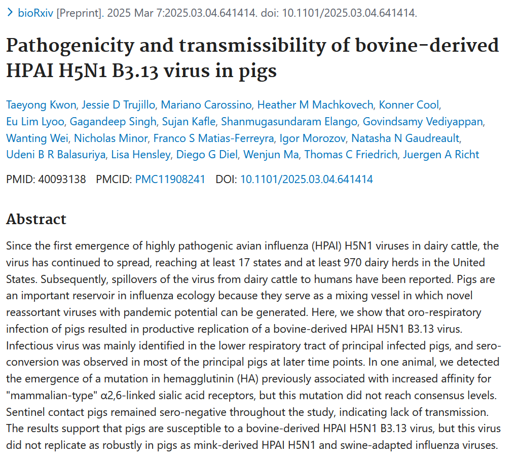 .<a href="/biorxivpreprint/">bioRxiv</a> : Pathogenicity and transmissibility of bovine-derived HPAI #H5N1 B3.13 virus in pigs  // Taeyong Kwon et al 

bit.ly/4ieAGSV