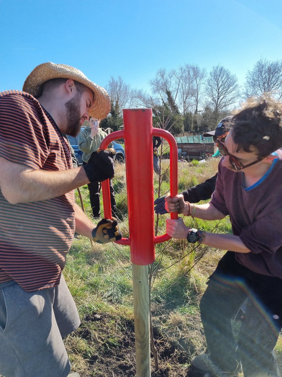fruitnutvillage's tweet image. A lovely day for expanding the orchards at #CastleValeAllotments today with @CETBrum. 15 more fruit trees. #CastleVale