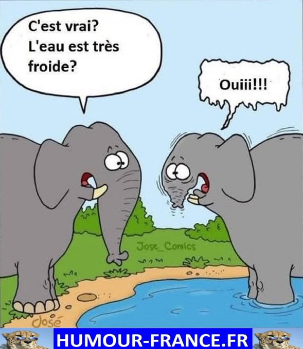 text alternatif