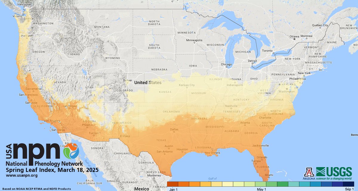 Here is the latest Spring Leaf Index from our friends, the USA National Phenology Network, usanpn.org as of March 18th, 2025.