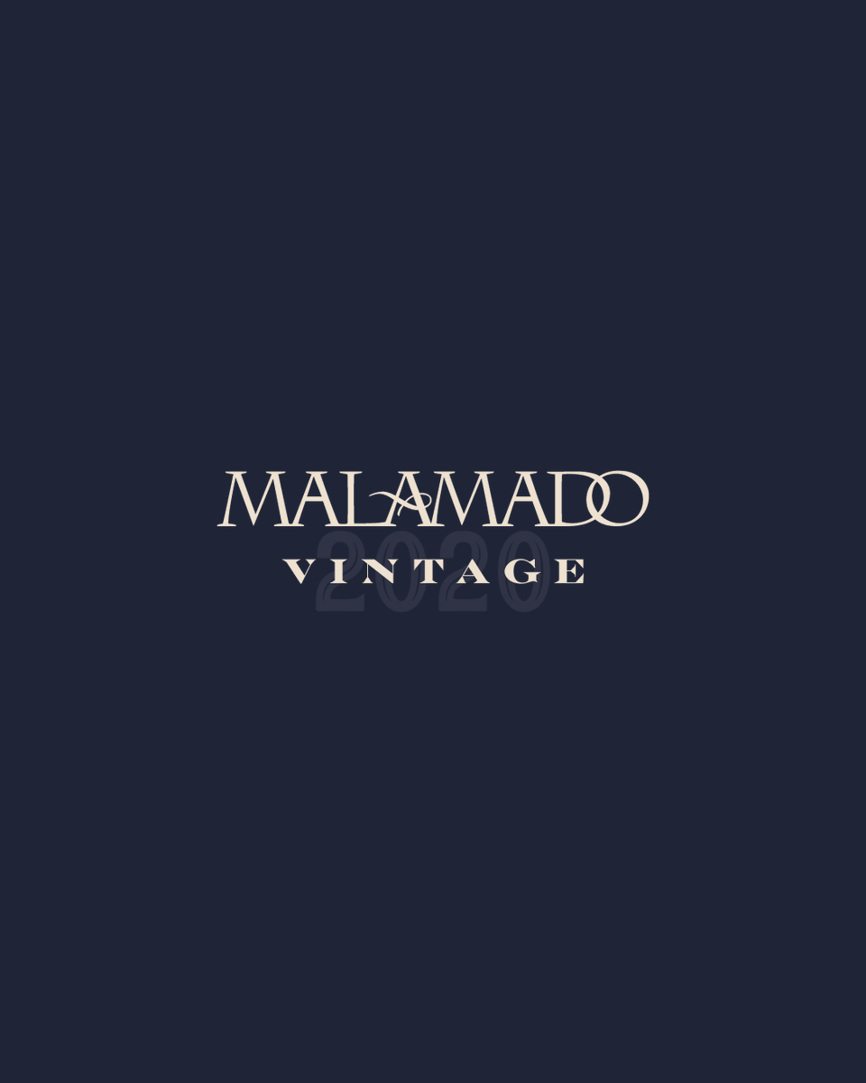Malamado tweet media