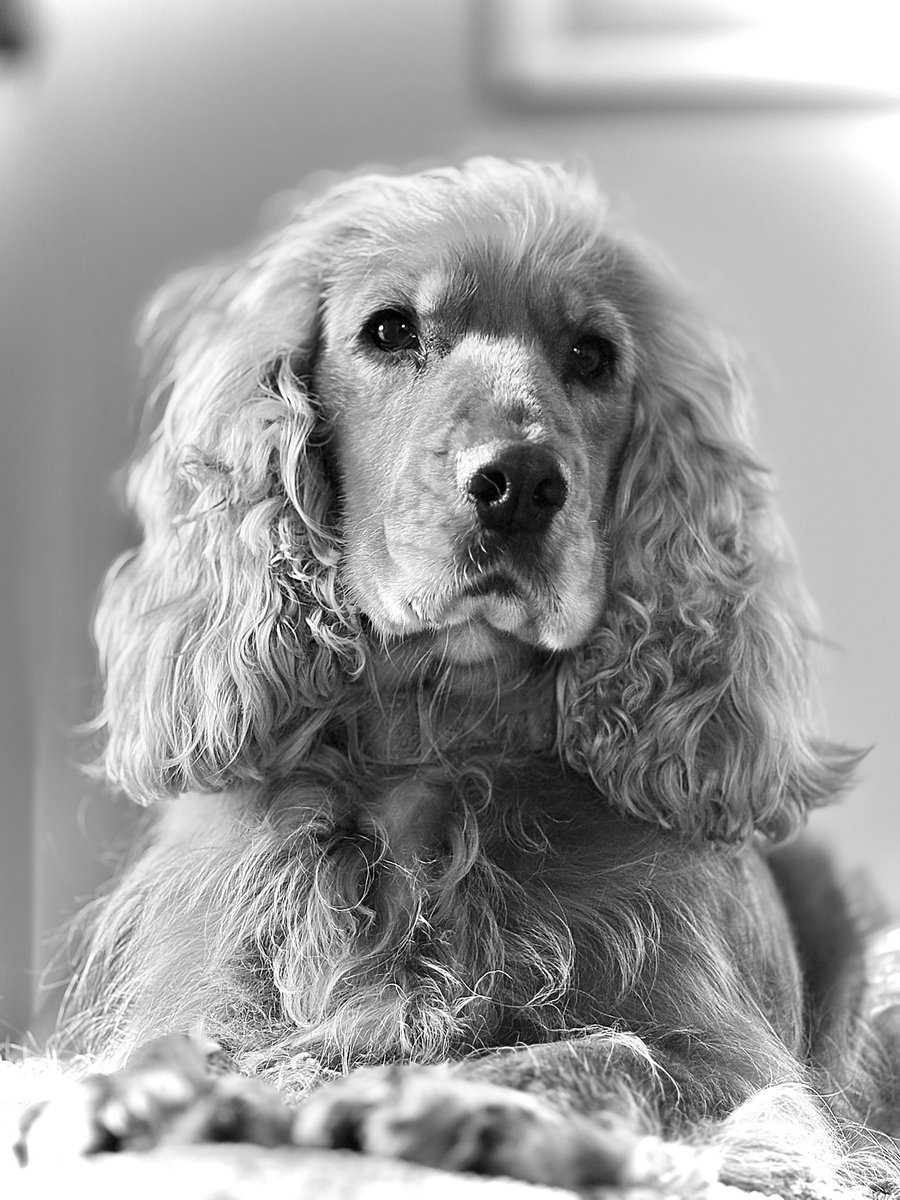 Waiting on a certain tractor to make an appearance….