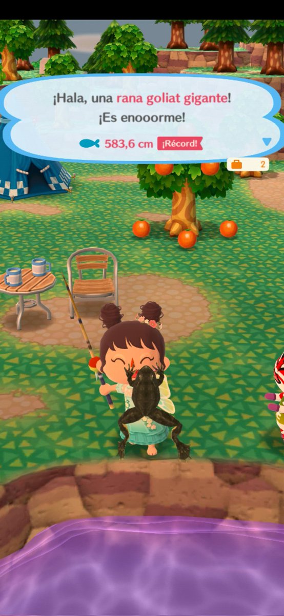 cross_alice's tweet photo. Después de más de 7 años jugando, por fin me sale la rana xD se hizo de rogar...
#AnimalCrossing #ac #acpocketcamp #animalcrossingpocketcamp #animalcrossingpocketcampcomplete #pesca #rana # https://t.co/EnMnLXJMju