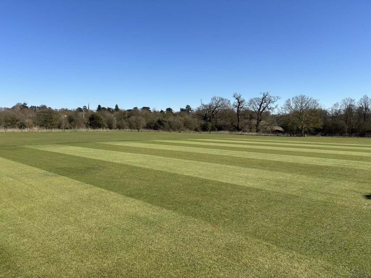 Jamie Foyster tweet media