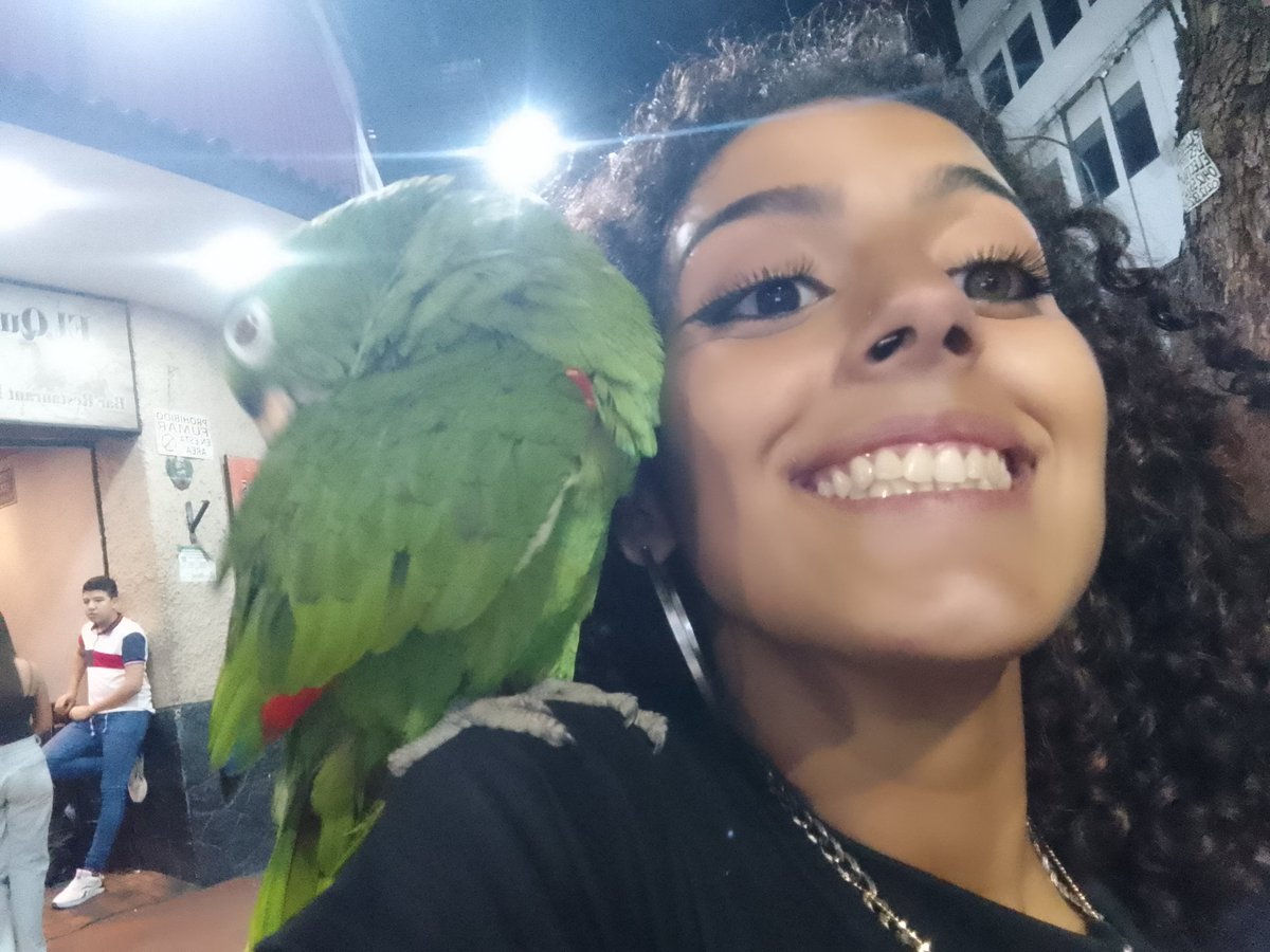 Content from mollyash170