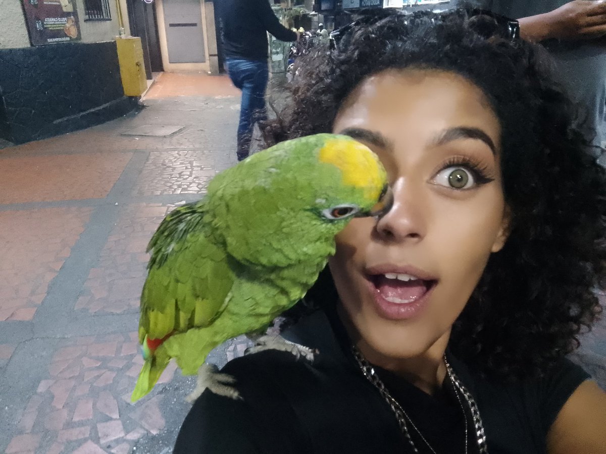 Content from mollyash170