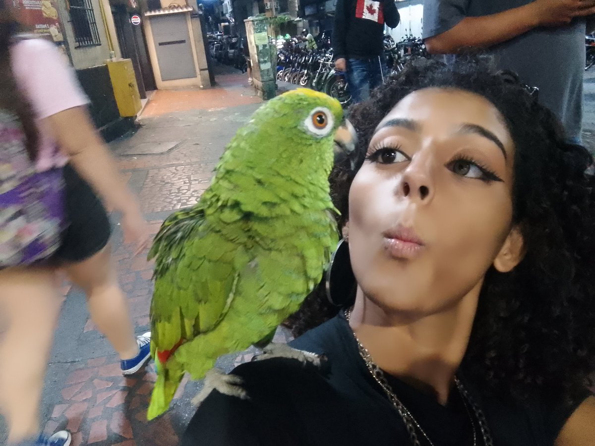 Content from mollyash170