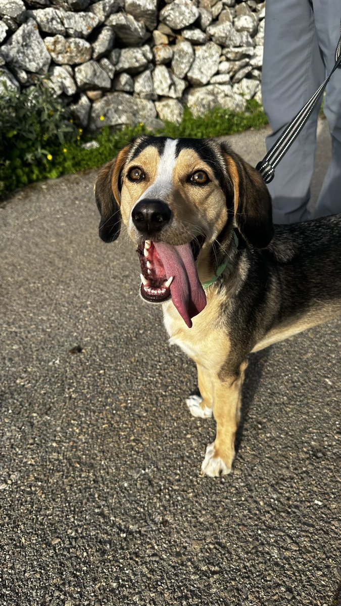 Mom nearly forgot it’s tongue out Chewsday! #TOT