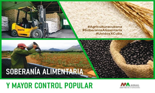 Un papel fundamental para la contención de la inflación lo juega la comercialización de arroz y frijoles por parte de las empresas, cooperativas, productores y campesinos directamente.#AgriculturaCubana #SoberaniaAlimentaría #UnidosXCuba