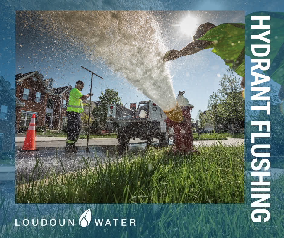 It's that time of year again – Loudoun Water crews will begin our annual hydrant flushing program in the coming weeks. This is standard practice for many water utility systems throughout the United States. Learn more: bit.ly/42dPiMD