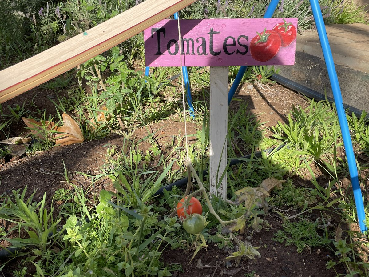 CEIP Georgia Martín Hernández tweet media