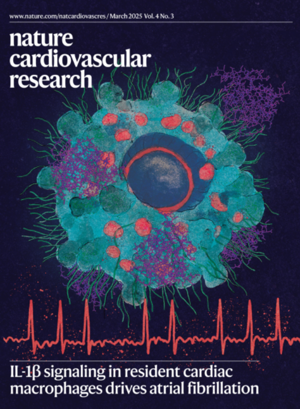 ❤️Our March issue is out❤️Featuring the cardiovascular polypill’s path to the WHO’s Essential Medicines list, tricaprin’s applications in cardiomyovasculopathy, NAD+ deficiency in aortic aneurysm, HF targets identified via multi-omics approaches, and more!
nature.com/natcardiovascr…