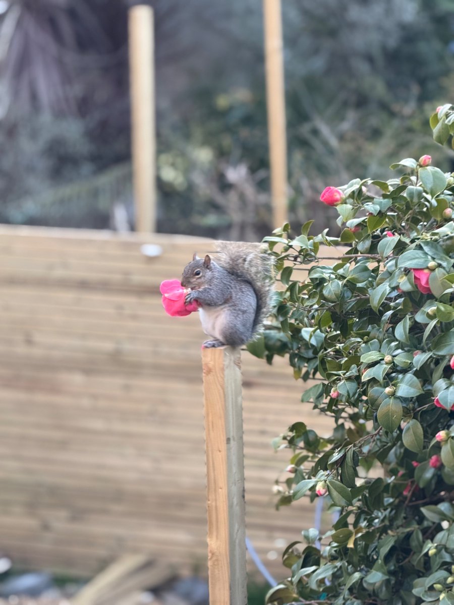 Spring is here!