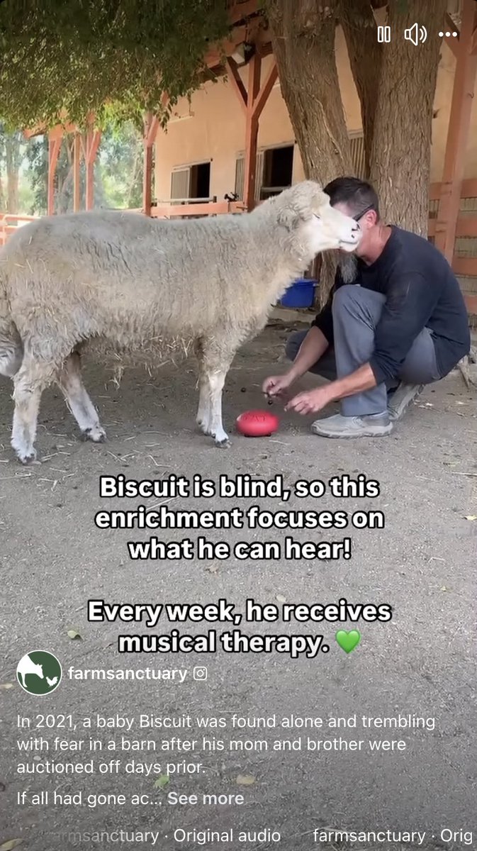 Rogue MT-BC tweet media