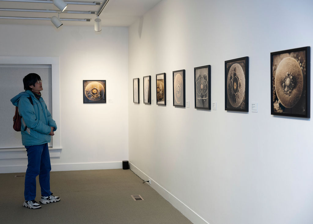 Stamford Museum & Nature Center tweet media