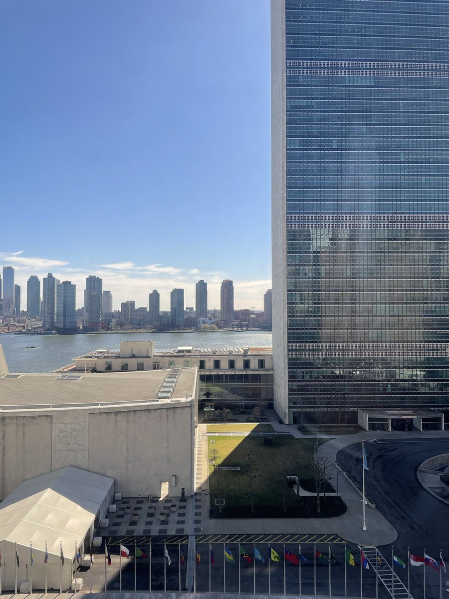 Steph MacGillivray tweet media