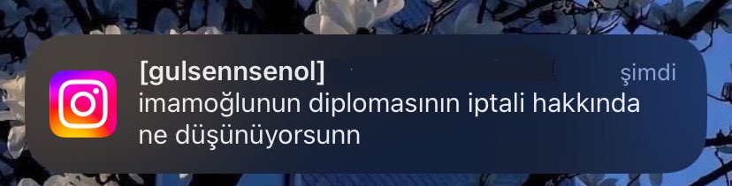 Benim dm nin meşguliyet