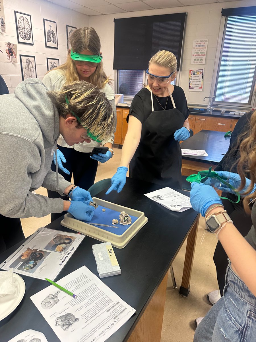 Mrs. Ingel Schmidt tweet media