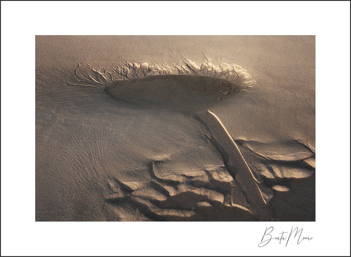 Sunflower for me, a ladle with soup spilling from it, for less romantic individuals! Whatever the interpretation, it was joy for me to compose it. 

<a href="/benrouk/">ROUK BEN</a> <a href="/canonuk/">Sandra</a> #lanzarote #sandpatterns