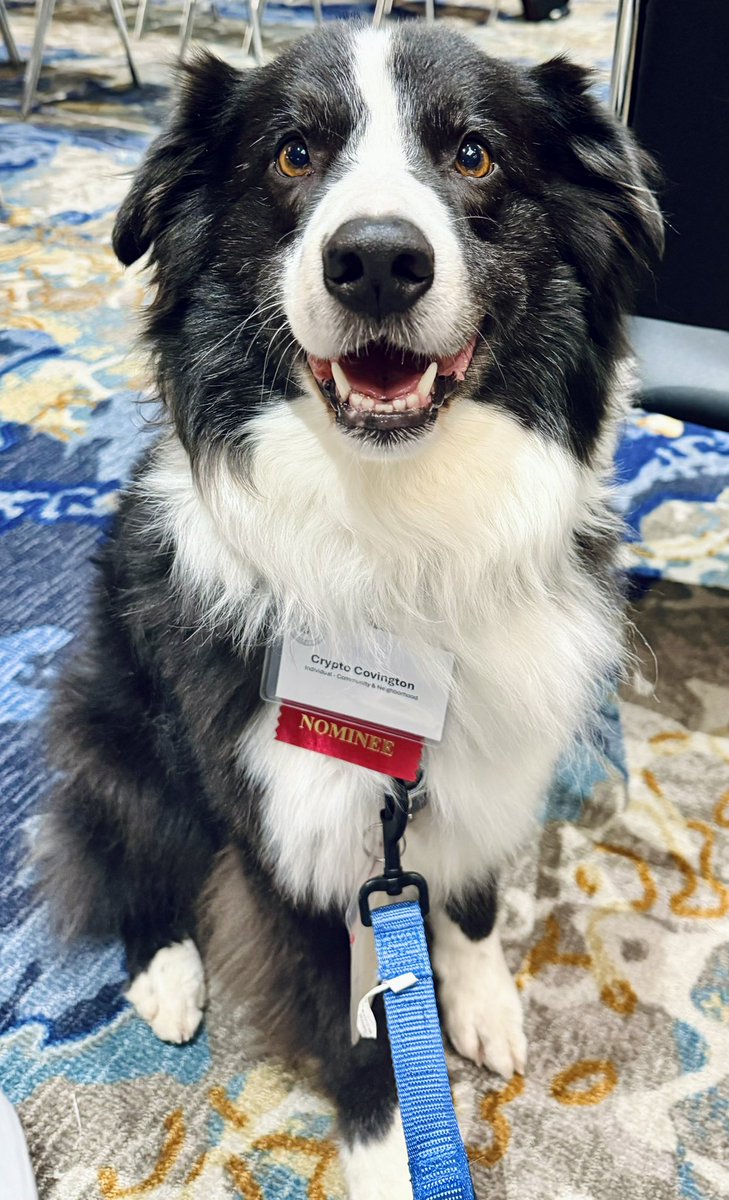 Cheering on our EVV Crew Dog Captain Crypto during the annual <a href="/leadershipevv/">Leadership Everyone</a> Celebration of Leadership. #COL2025 #nominee