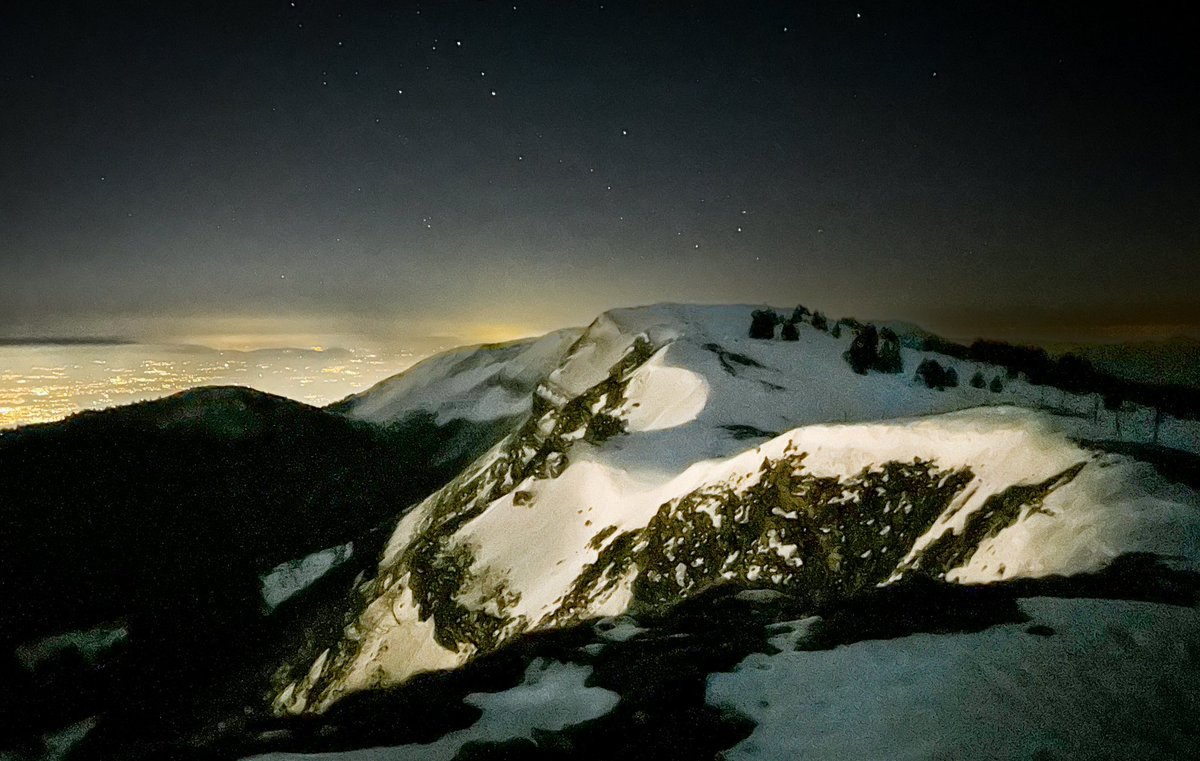 Andrew Purcell tweet media