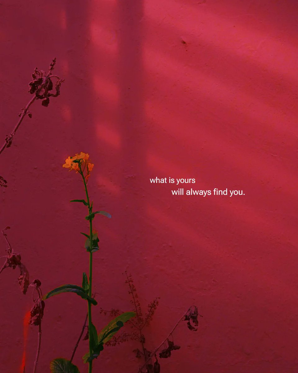 Mind Essentials (@mind_essentials) on Twitter photo 