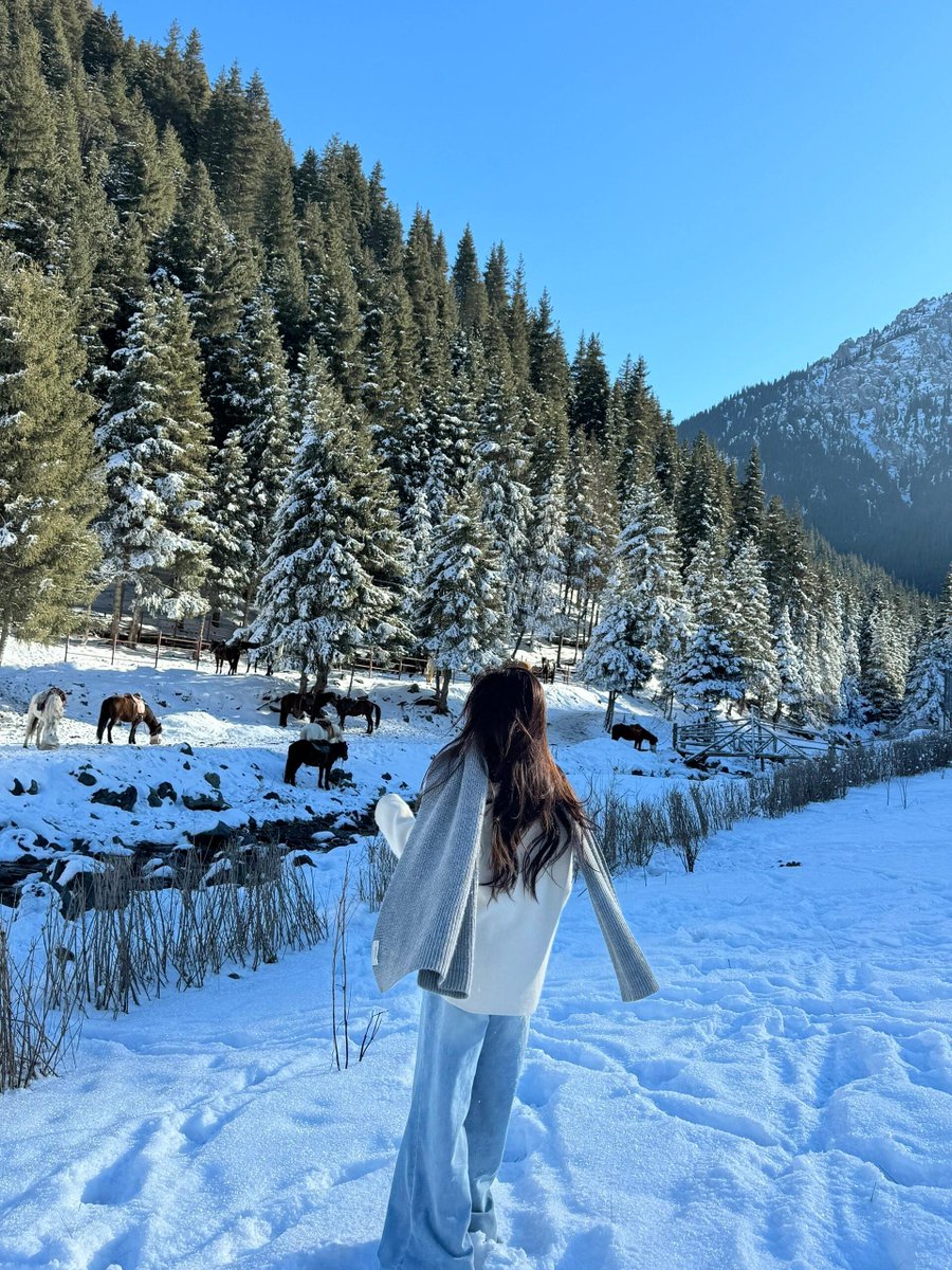 RubyStork's tweet image. Traveling solo, finding myself amidst nature’s beauty. 🌍✨