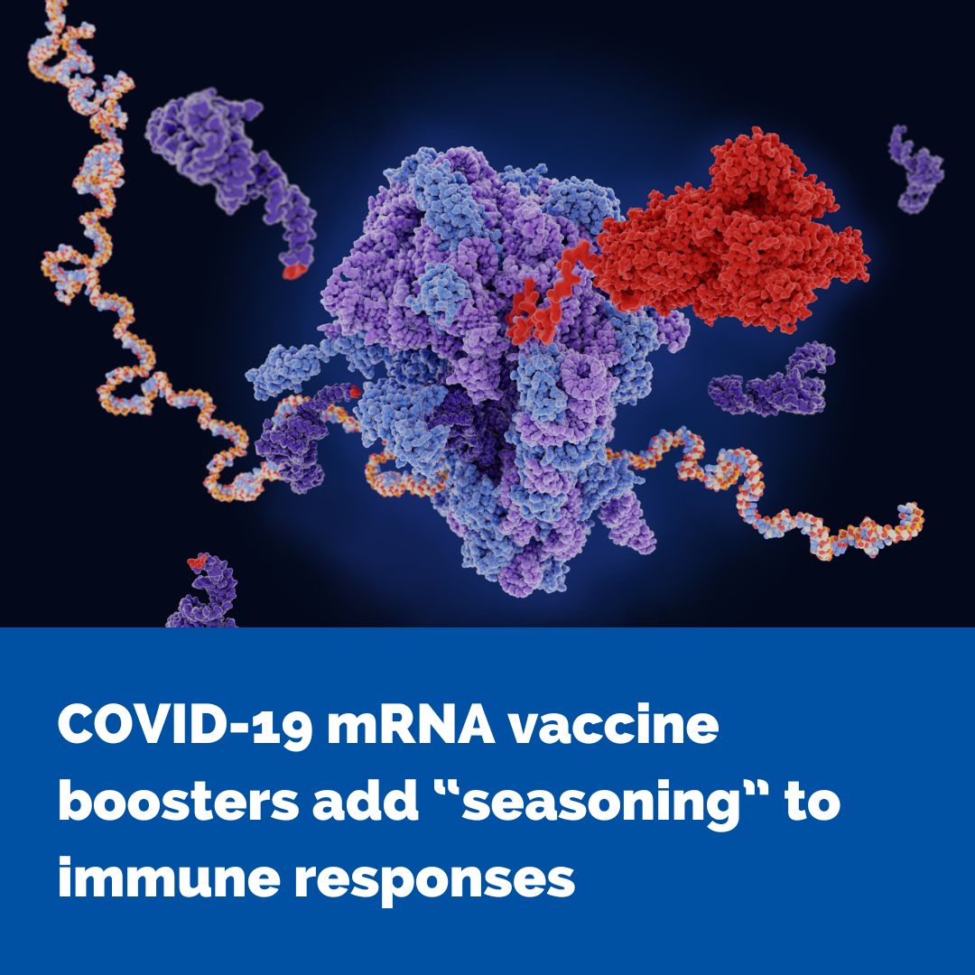 Doherty Institute (@thedohertyinst) on Twitter photo In a recent study published in Science Advances, researchers explored whether adding IgG4 antibodies in blood samples would affect vaccine-induced immunity. 🔗go.unimelb.edu.au/5rxp <a href="/UniMelbMDHS/">UniMelb MDHS</a> <a href="/TheRMH/">The Royal Melbourne Hospital</a> <a href="/UniMelb/">University of Melbourne</a> In a recent study published in Science Advances, researchers explored whether adding IgG4 antibodies in blood samples would affect vaccine-induced immunity. 🔗go.unimelb.edu.au/5rxp <a href="/UniMelbMDHS/">UniMelb MDHS</a> <a href="/TheRMH/">The Royal Melbourne Hospital</a> <a href="/UniMelb/">University of Melbourne</a>