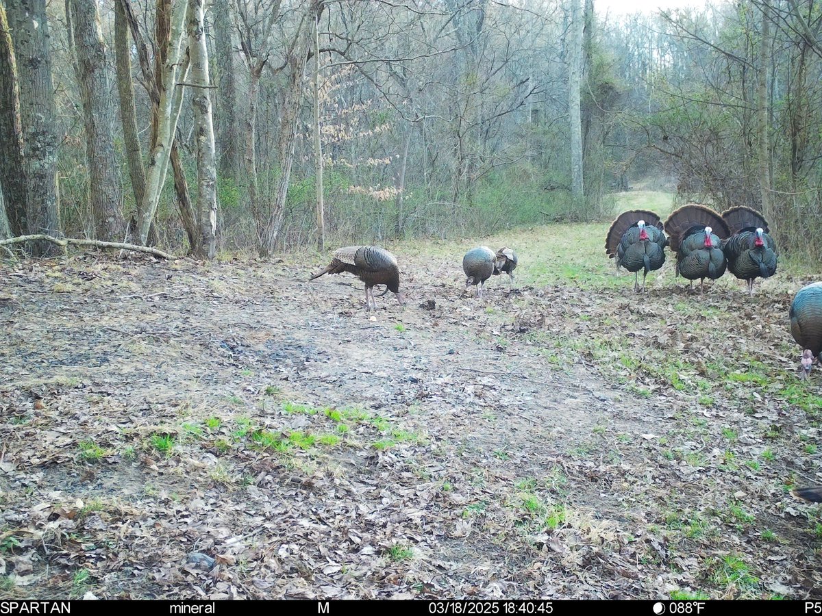 Danny Robinson tweet media