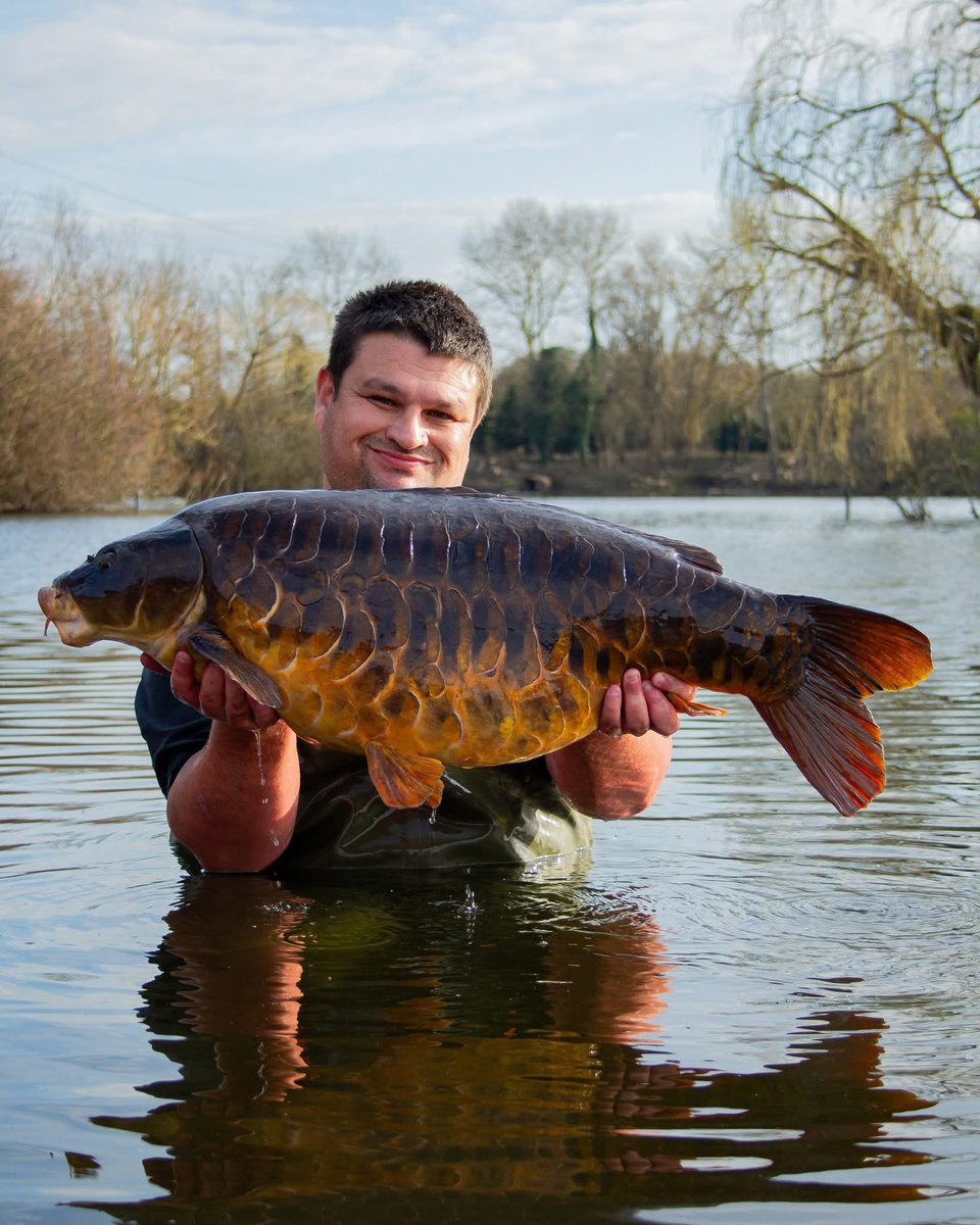 Big congratulations to Daniel Daneshi on the capture of the Big Fully from Farlows Lake weighing 35lb which he caught on a mesh Bag filled with Spod &amp; PVA Pellet Mix and ISO Fish Stick Mix with a complimentary ISO Fish Wafter hookbait. 

Awesome, Dan. 💪👌