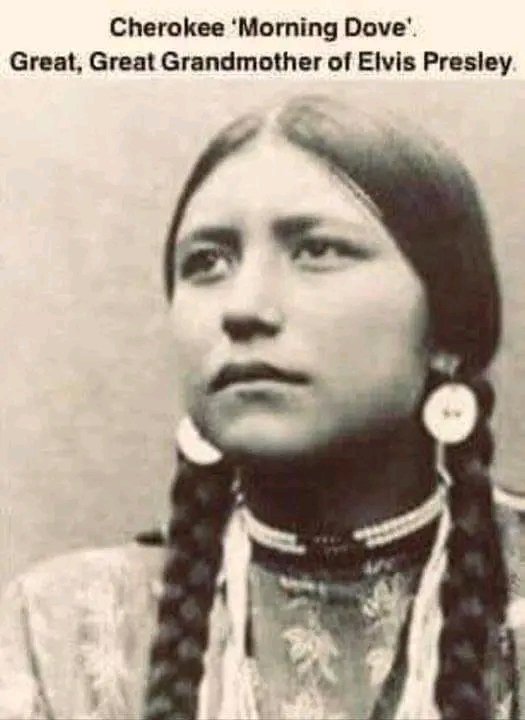 proud_native_am's tweet image. Cherokee 'Morning Dove' Great, Great Grandmother of Elvis Presley