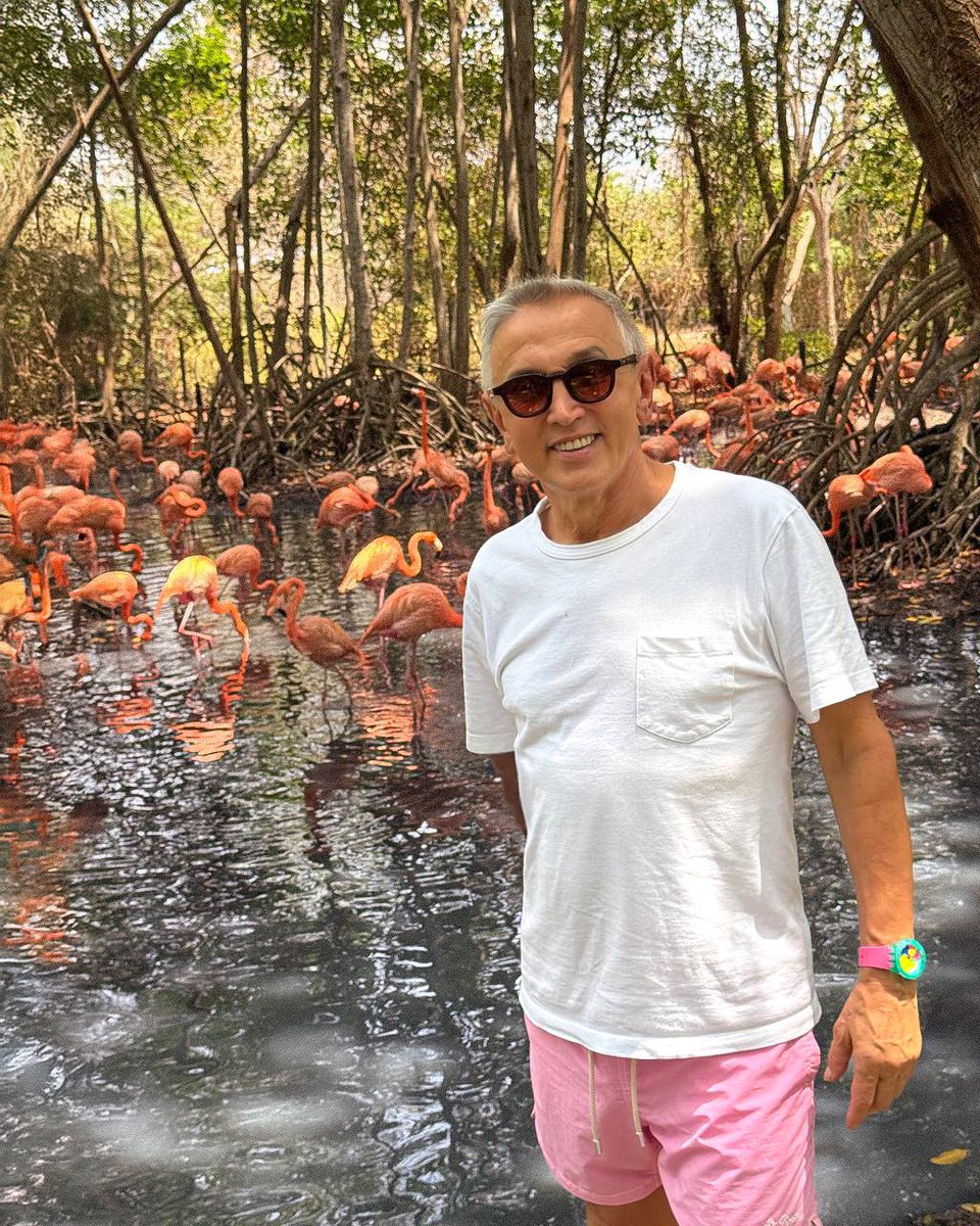 barbierichef's tweet image. Ragaz, seconda parte del viaggio in #Colombia, si arriva a #Cartagena!
Le cose vanno alla grande, sto incontrando persone pazzesche, feste e colori dappertutto! 🇨🇴
