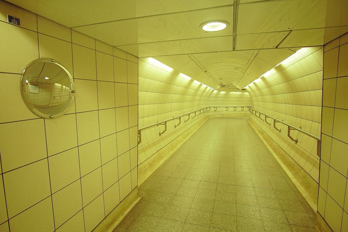 MindWanders🫀 tweet media