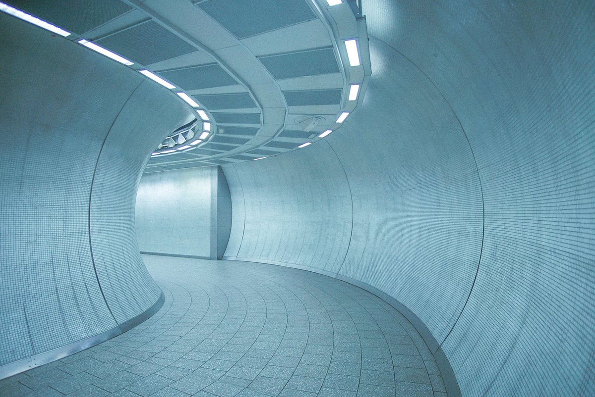 MindWanders🫀 tweet media