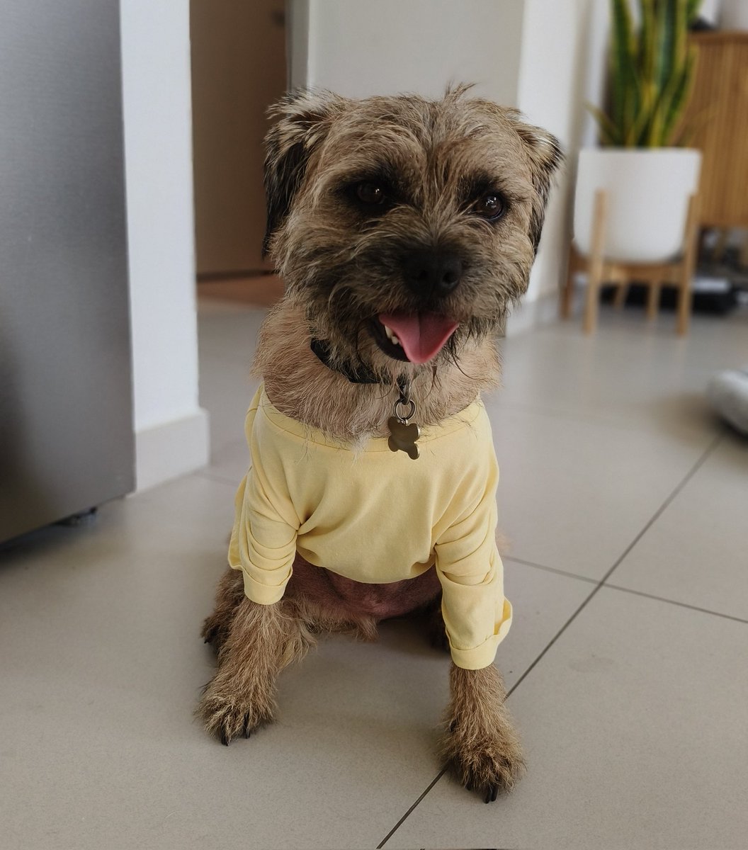 Prosecco Mum tweet media