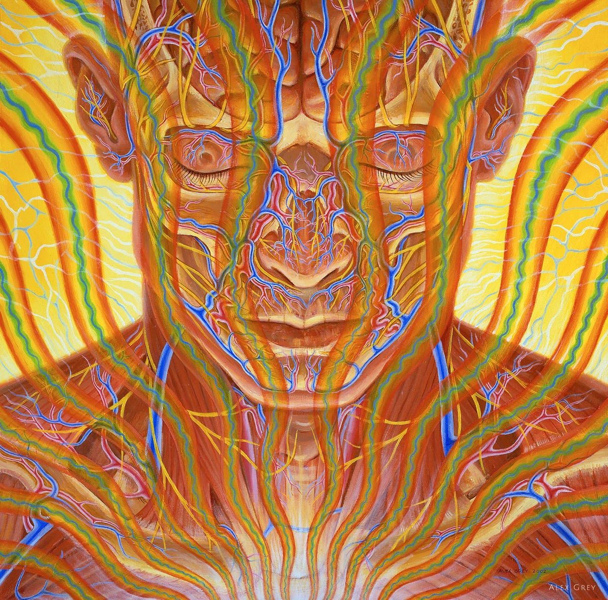 Alex Grey tweet media