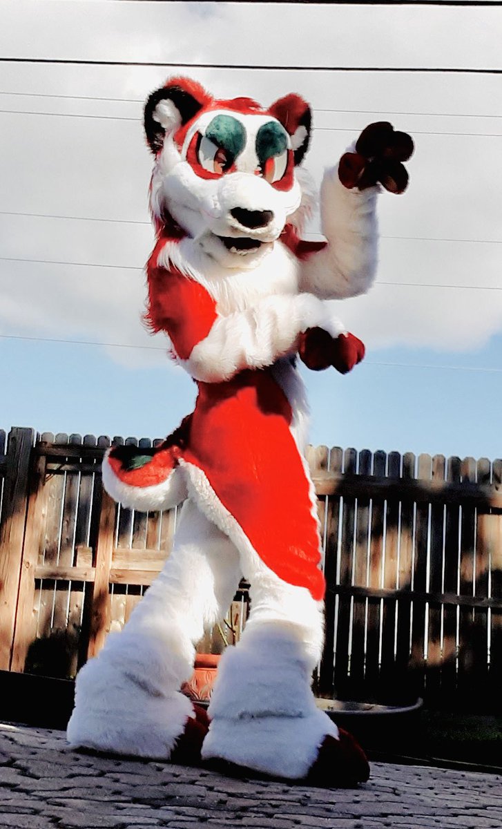 meow meow meow tweet media