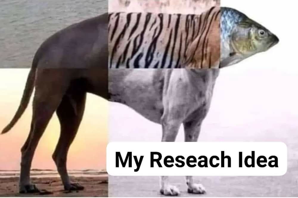 Scholarship for PhD (@scholarshipfphd) on Twitter photo 