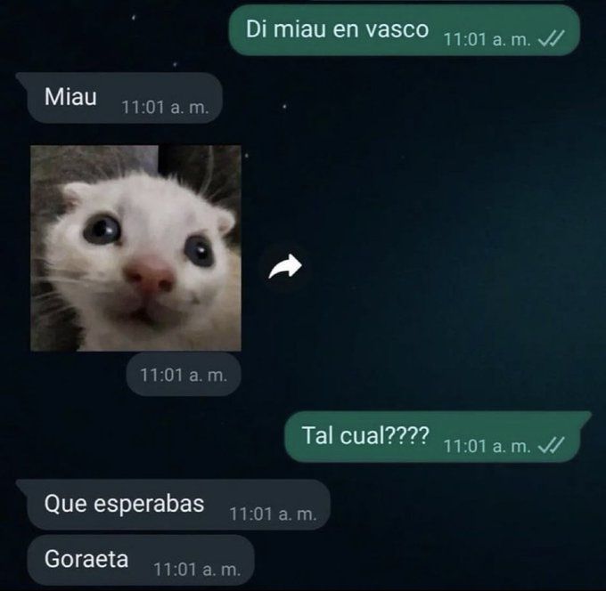 chincheto pirata somali (@wikipistacho) on Twitter photo 