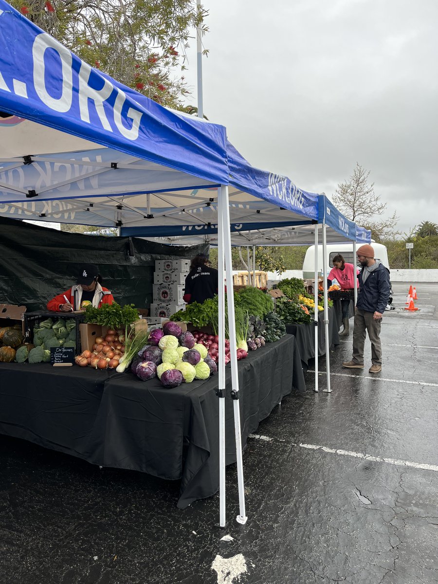 BGCMalibu tweet media