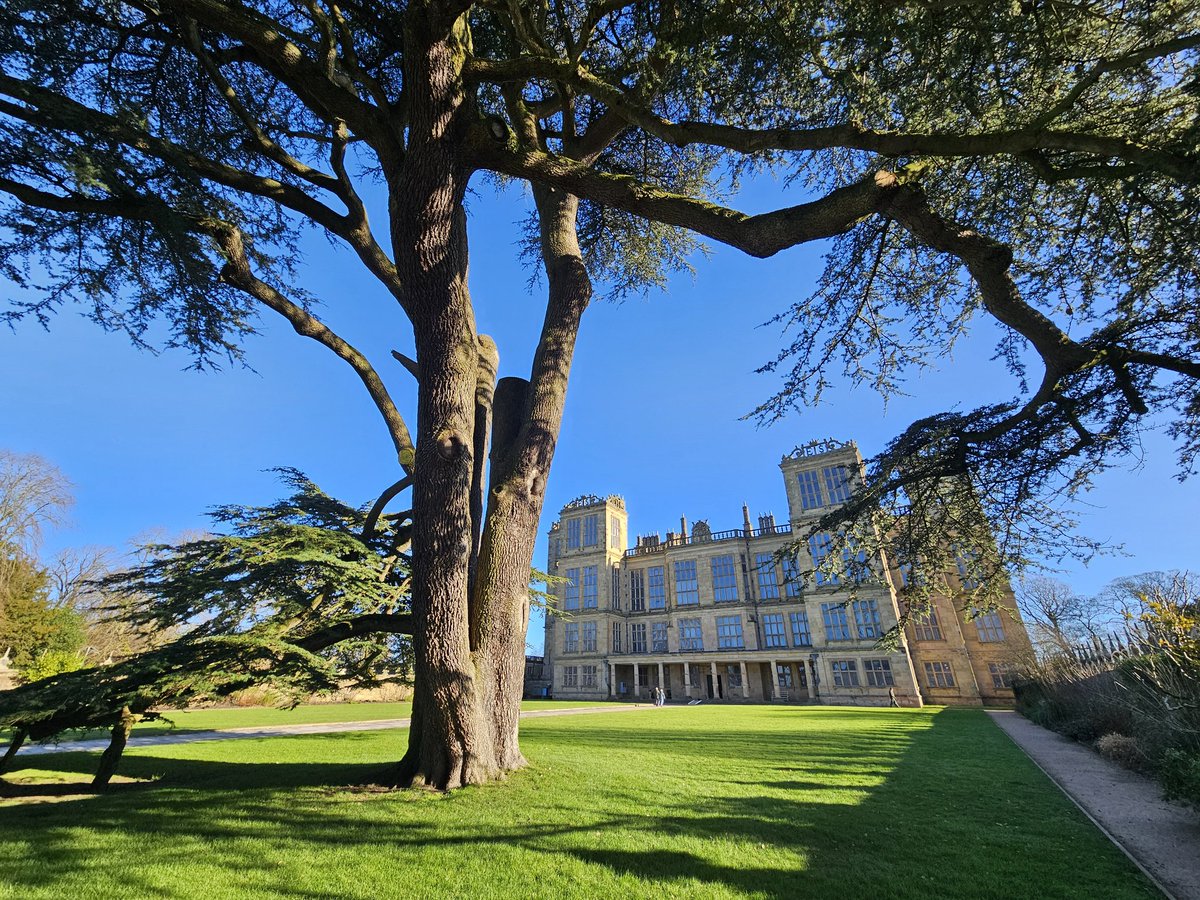 ArtistRob's tweet image. 