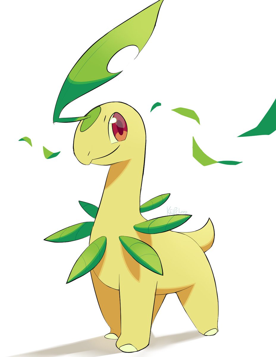 kelpcheep's tweet photo. bayleef! https://t.co/Fr4q1tzk8d