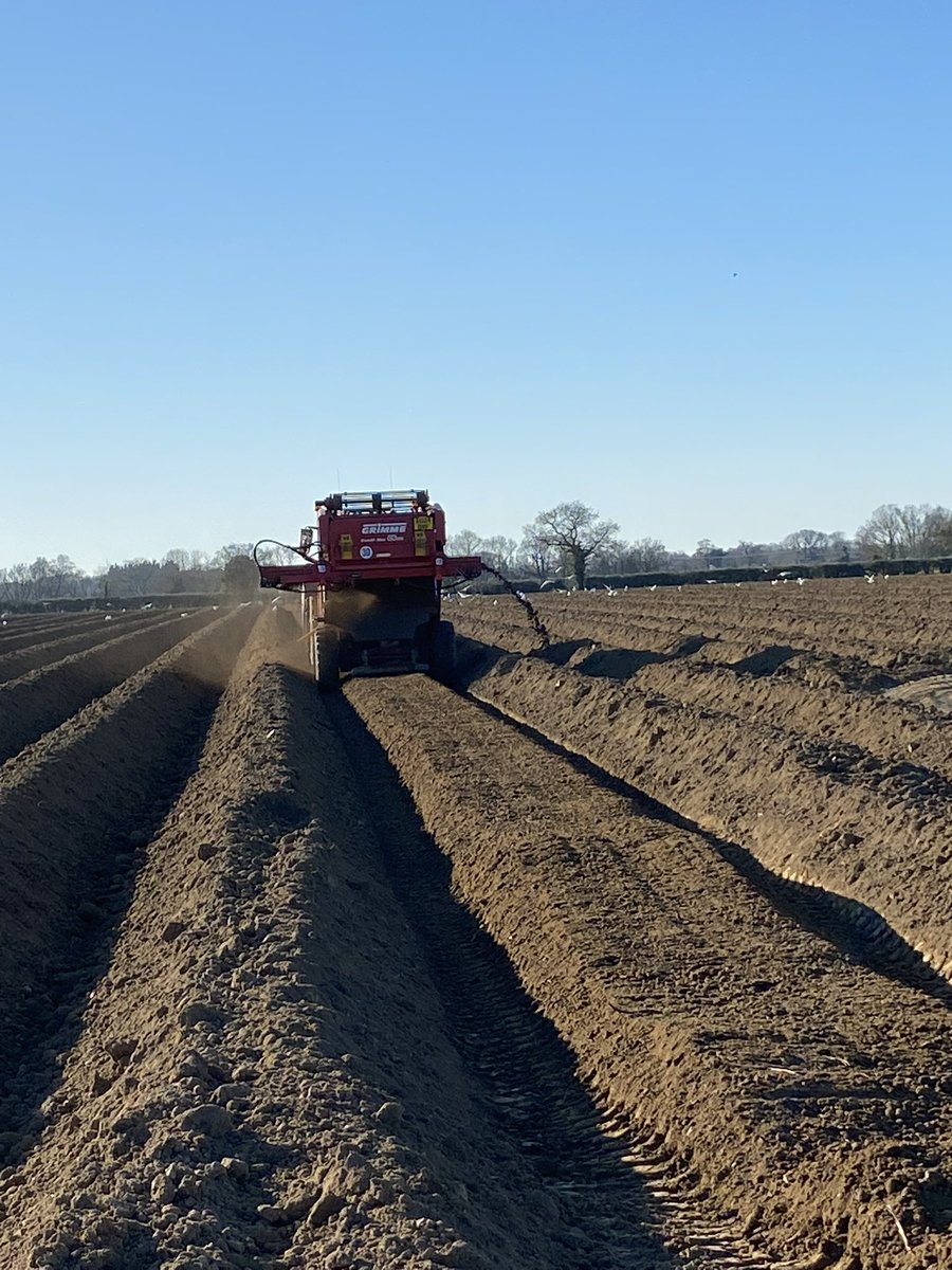 We have dust… what month is it?