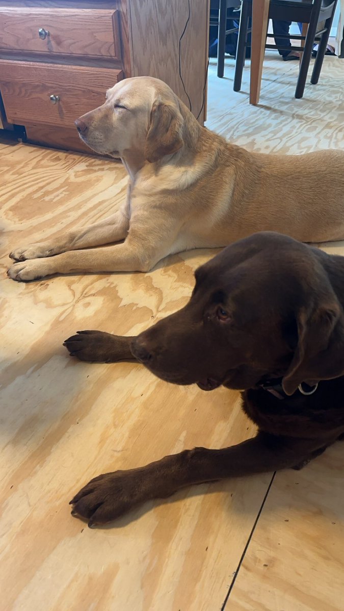 Dan Gamble tweet media