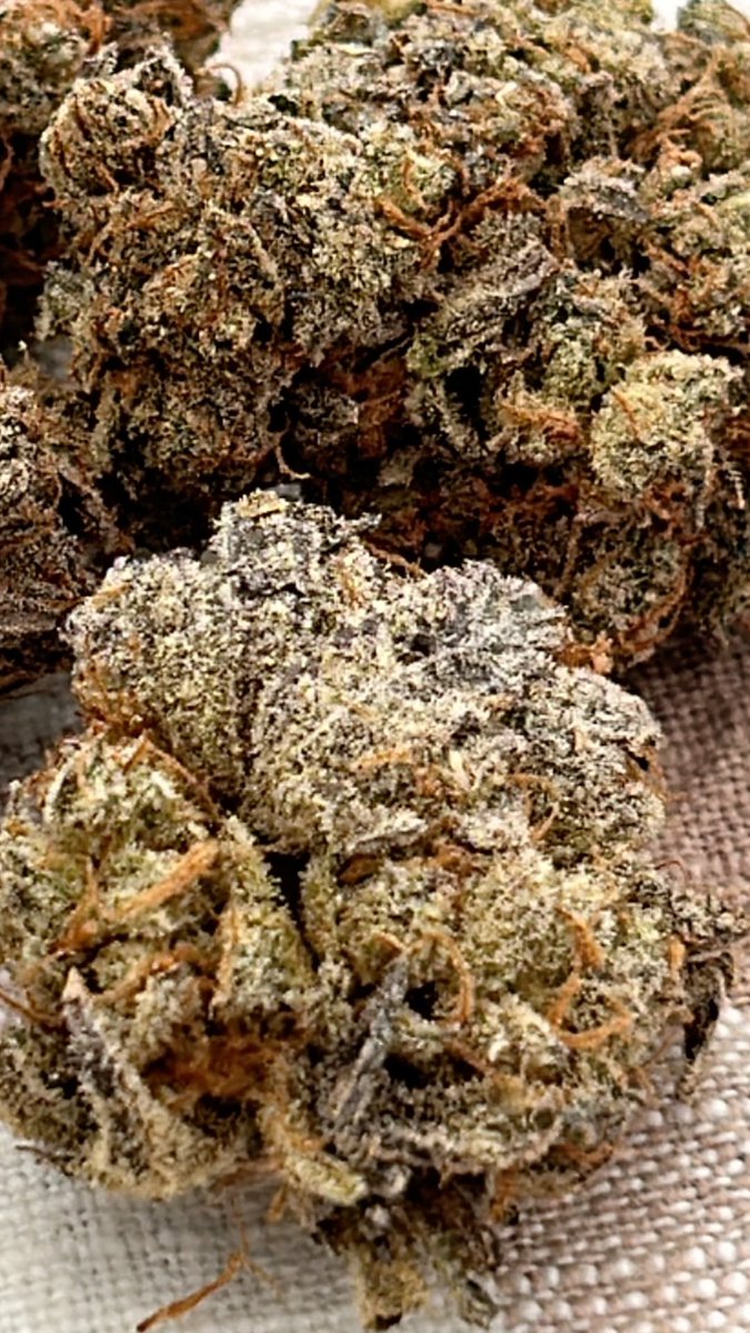 Frosty buds <a href="/blumesociety/">The Blume Society</a> 
some perm chimera!!! Let’s light up!!!