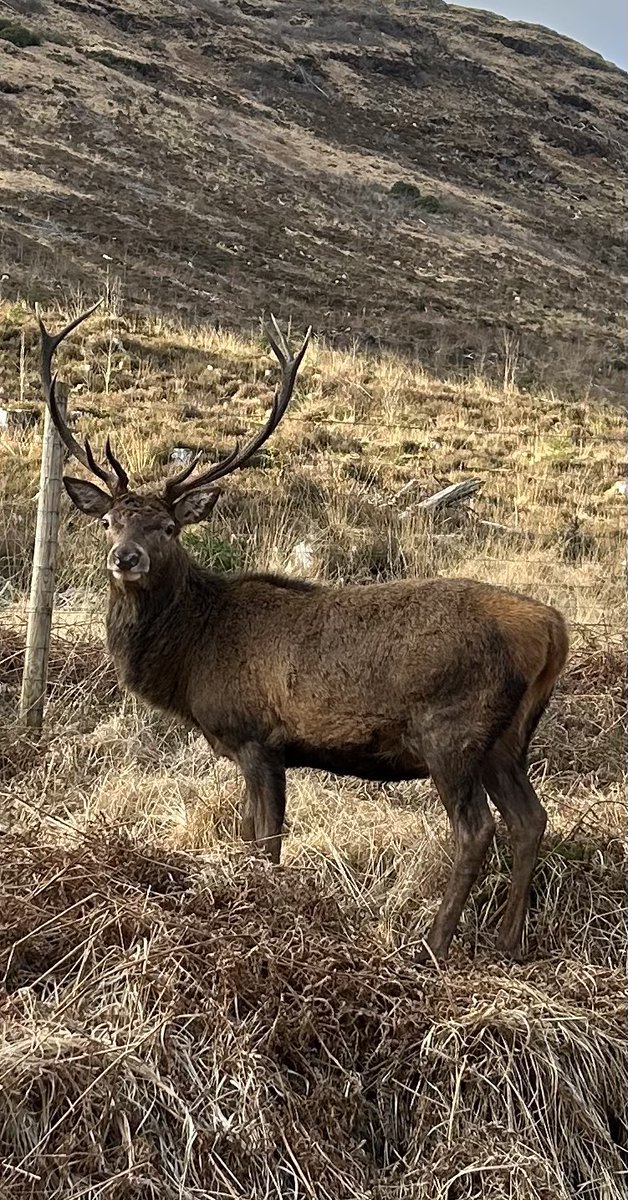 andyhare12's tweet image. Munroaming 2025 🏴󠁧󠁢󠁳󠁣󠁴󠁿⛰️. #munro #Scotland