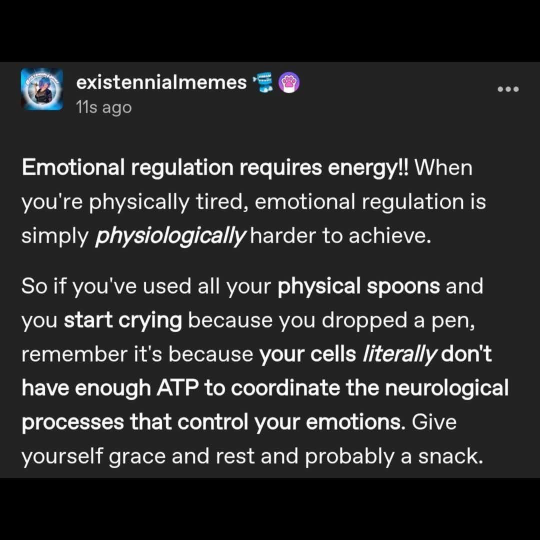 No Nonsense Neurodivergent tweet media